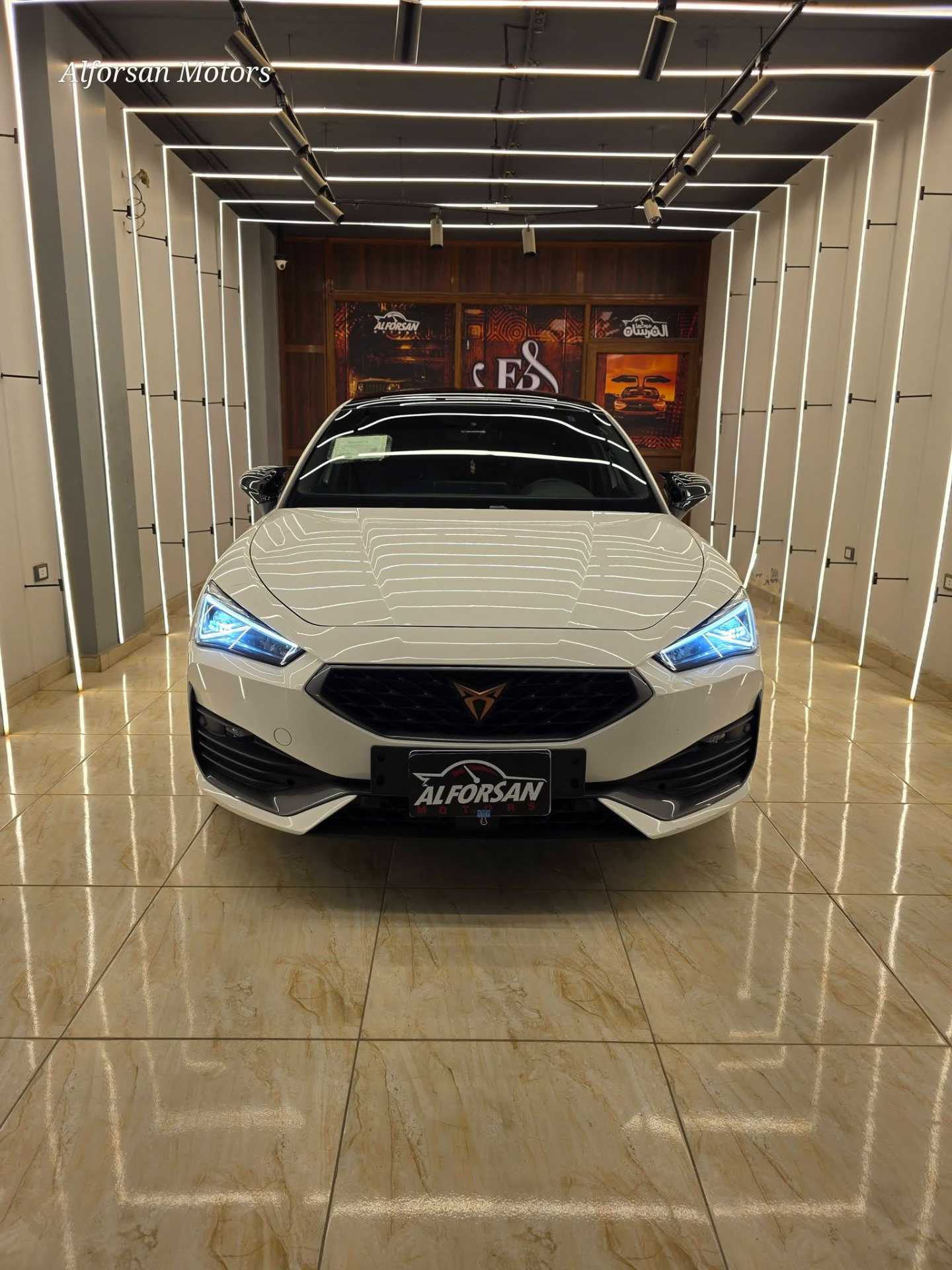 كوبرا ليون 2024