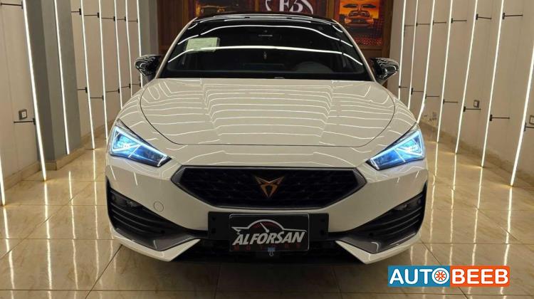 كوبرا ليون 2024