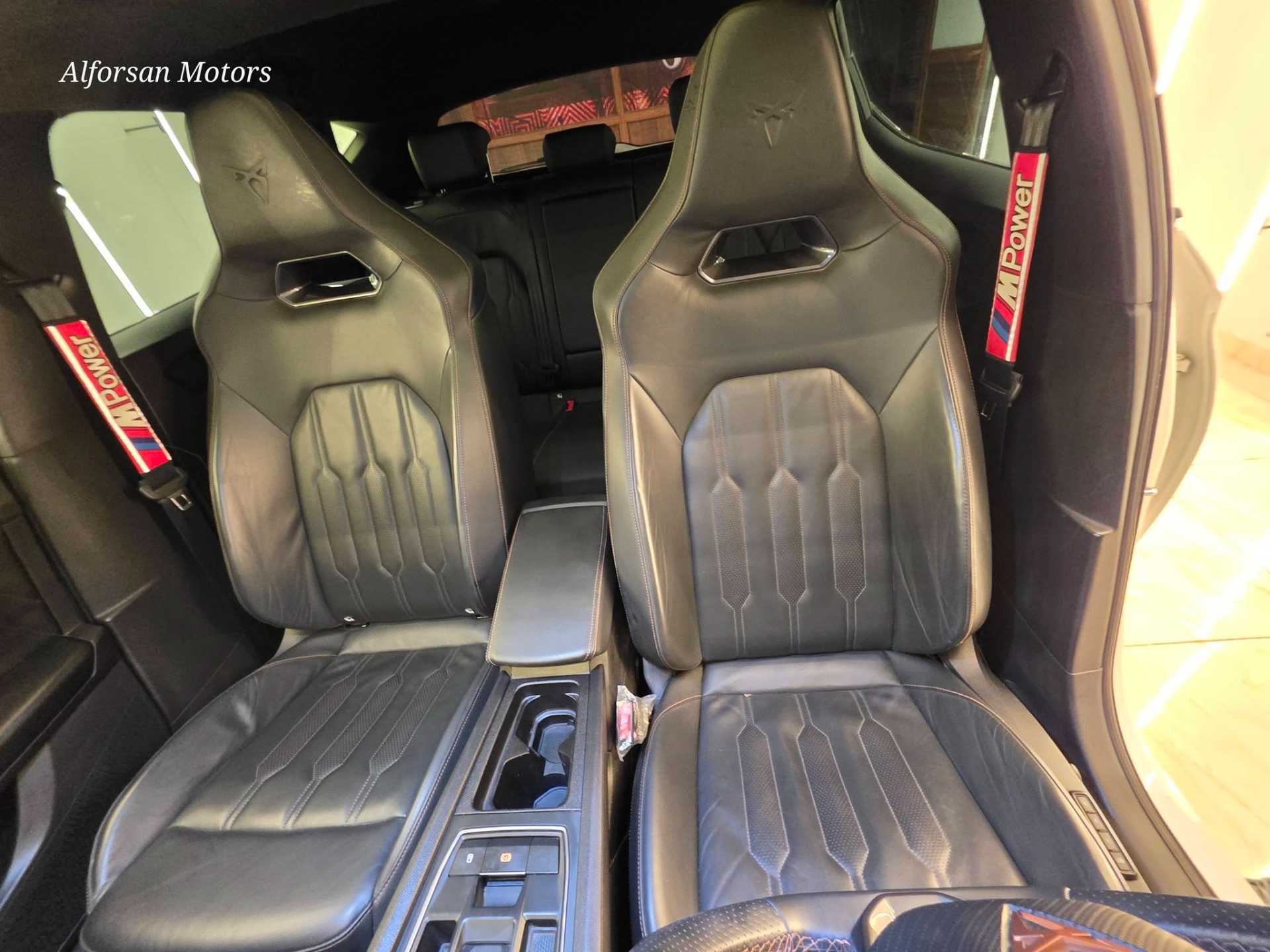 كوبرا ليون 2024