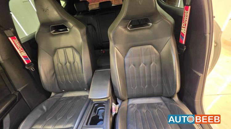 كوبرا ليون 2024