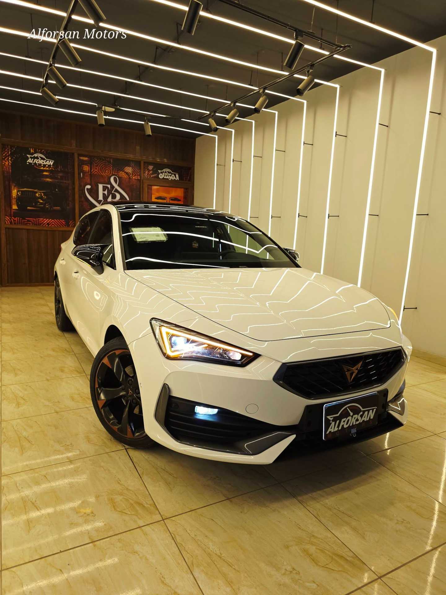 كوبرا ليون 2024