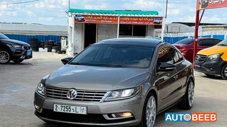 فولكس فاجن باسات 2013