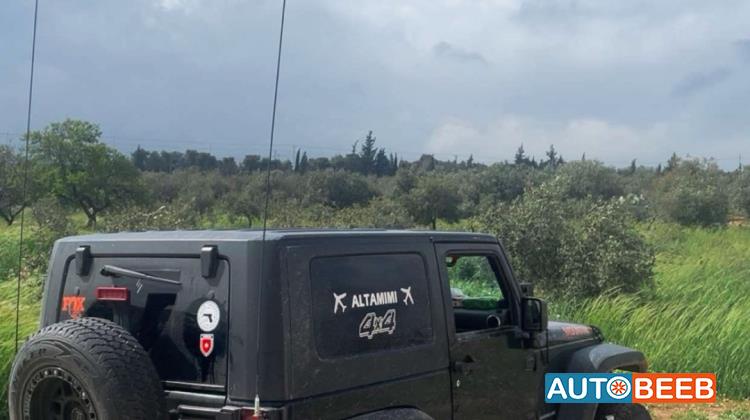 جيب رانجلر 2010