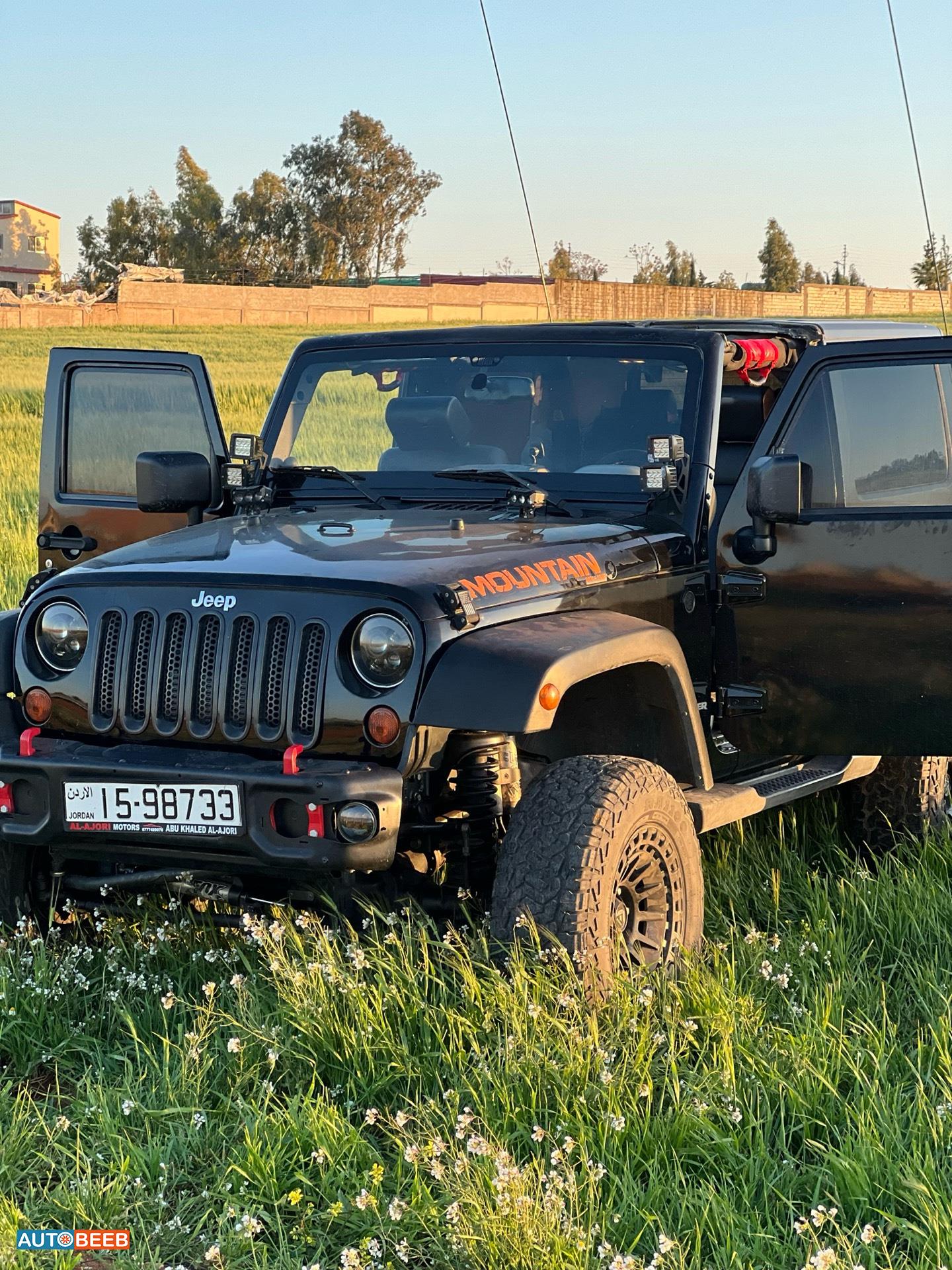 جيب رانجلر 2010