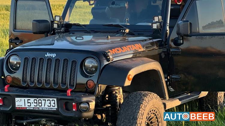 جيب رانجلر 2010