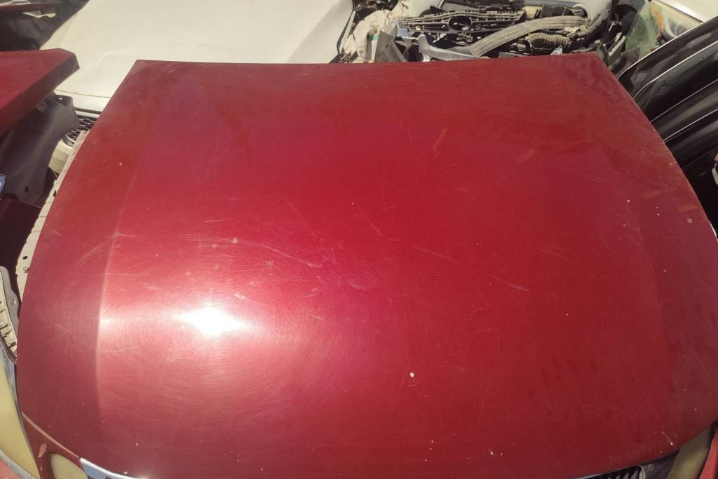 Body  Hood Lexus GS450
