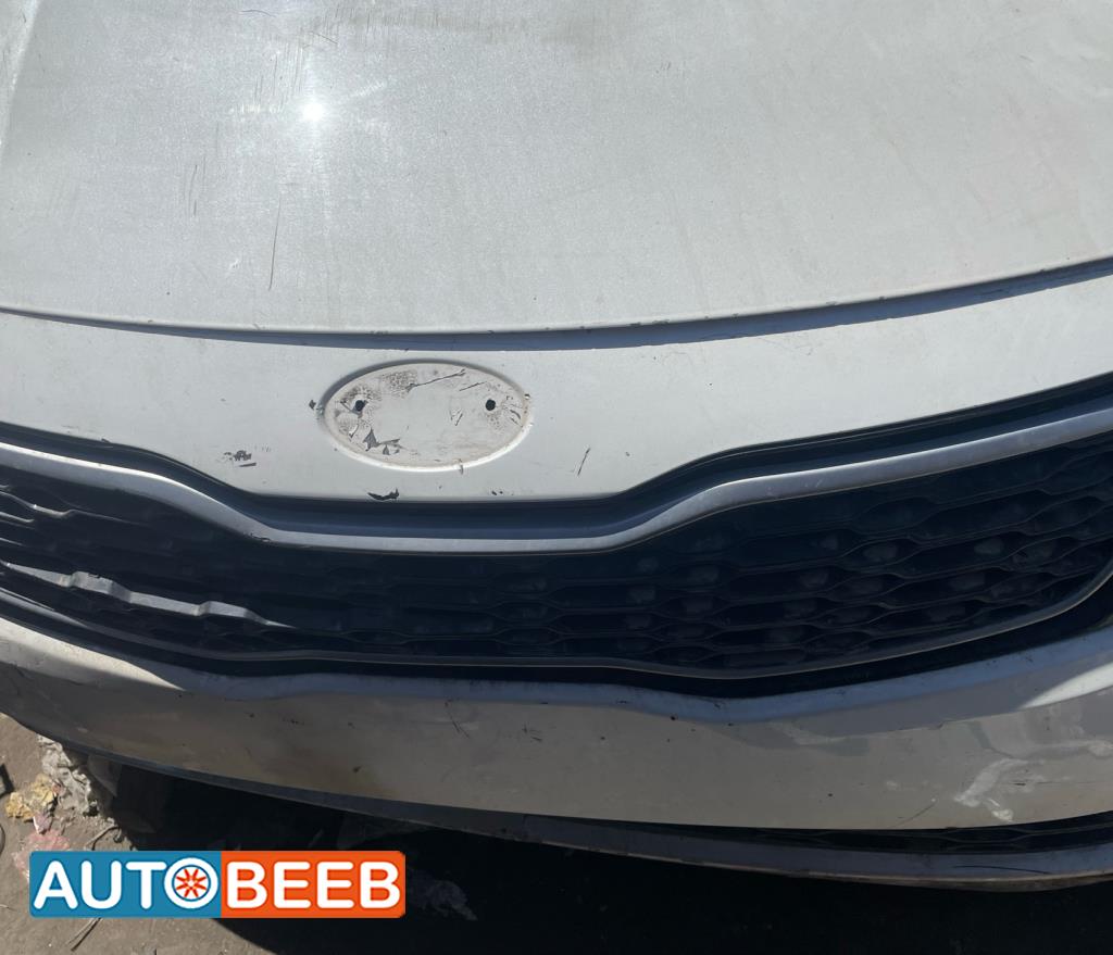 Body  Grilles KIA Optima