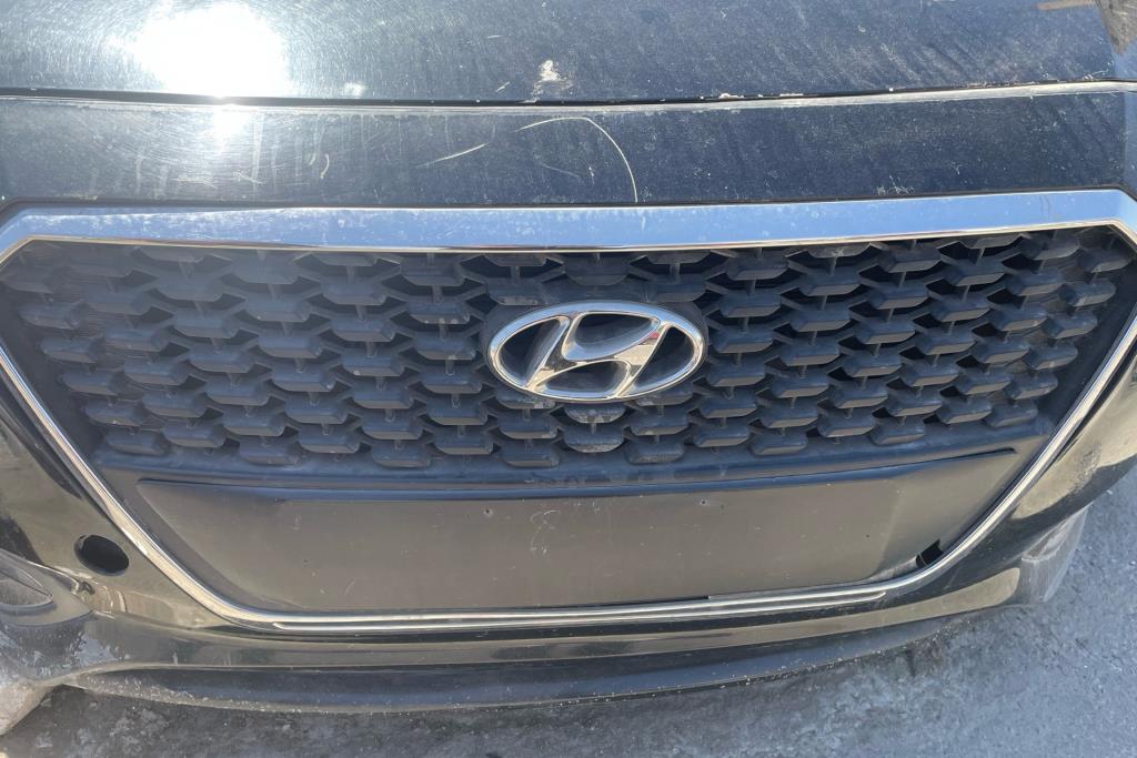 Body  Grilles Hyundai Sonata