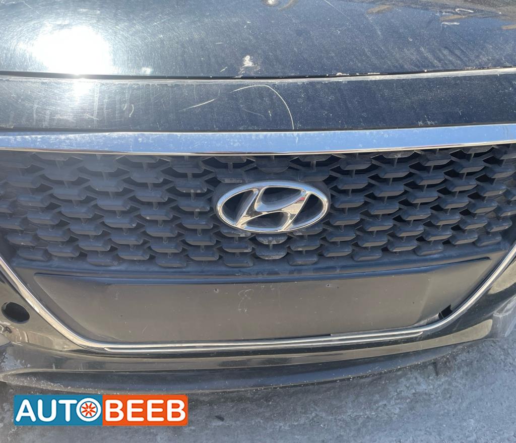 Body  Grilles Hyundai Sonata