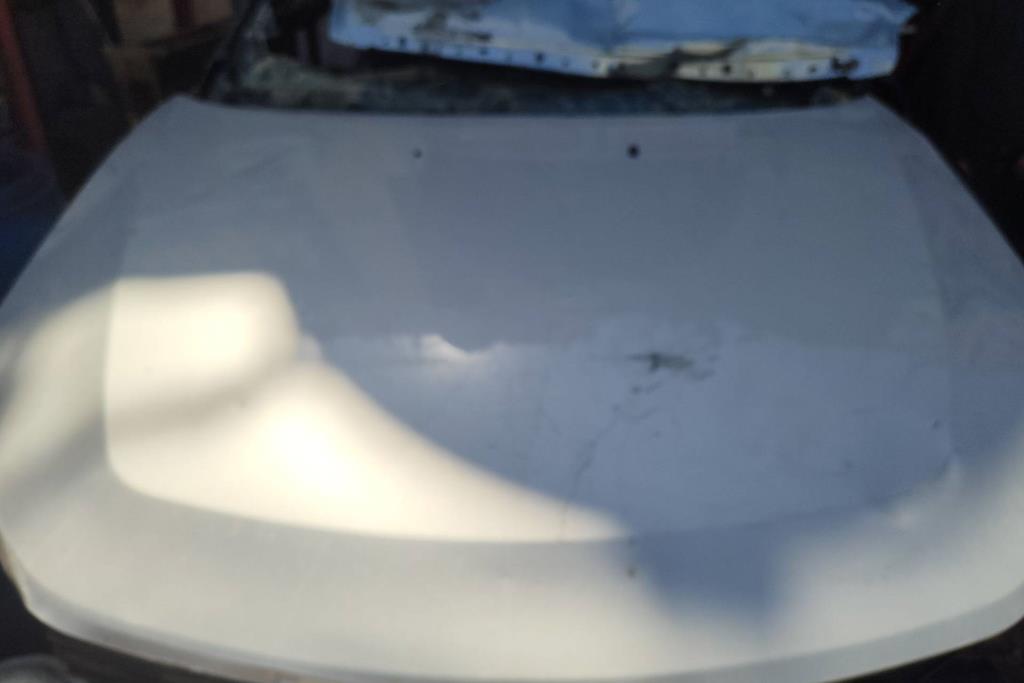 Body  Hood Ford Fusion