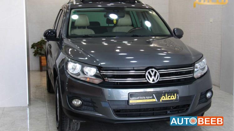 Volkswagen Tiguan 2011