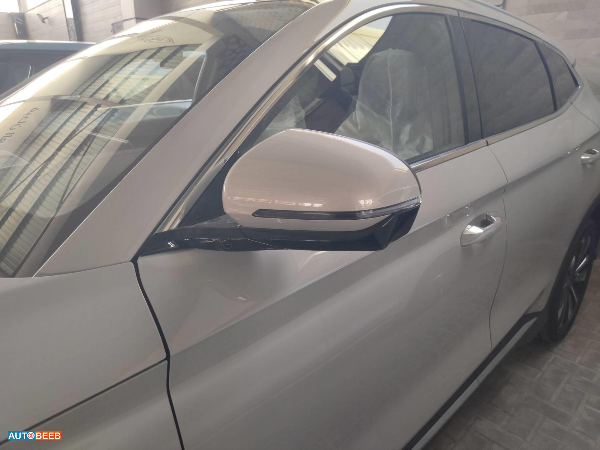 بي واي دي سونج بلس 2025