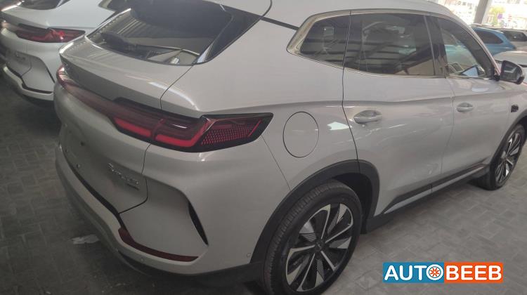 بي واي دي سونج بلس 2025