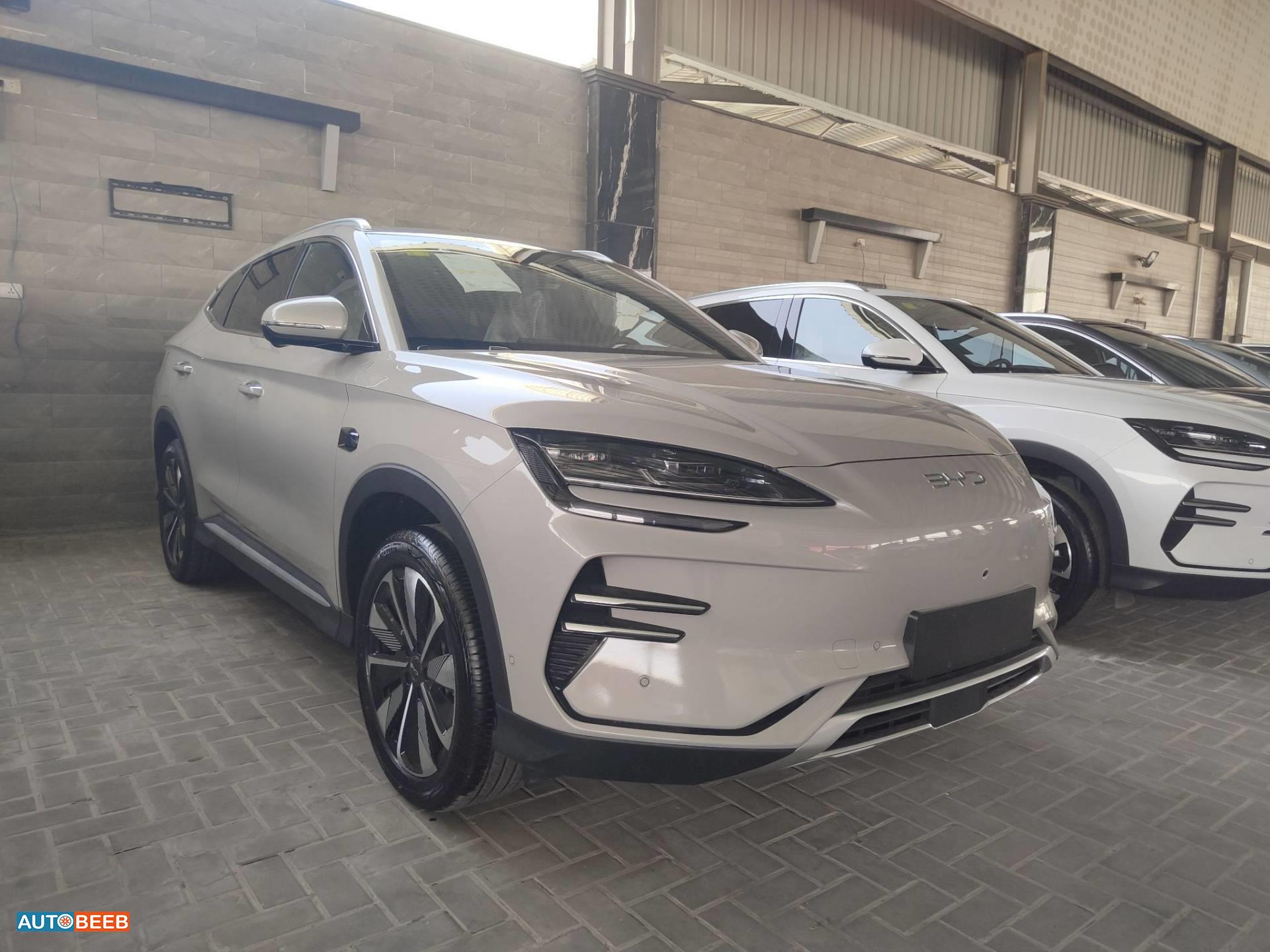 بي واي دي سونج بلس 2025