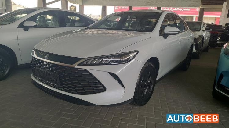 BYD Qin 2025