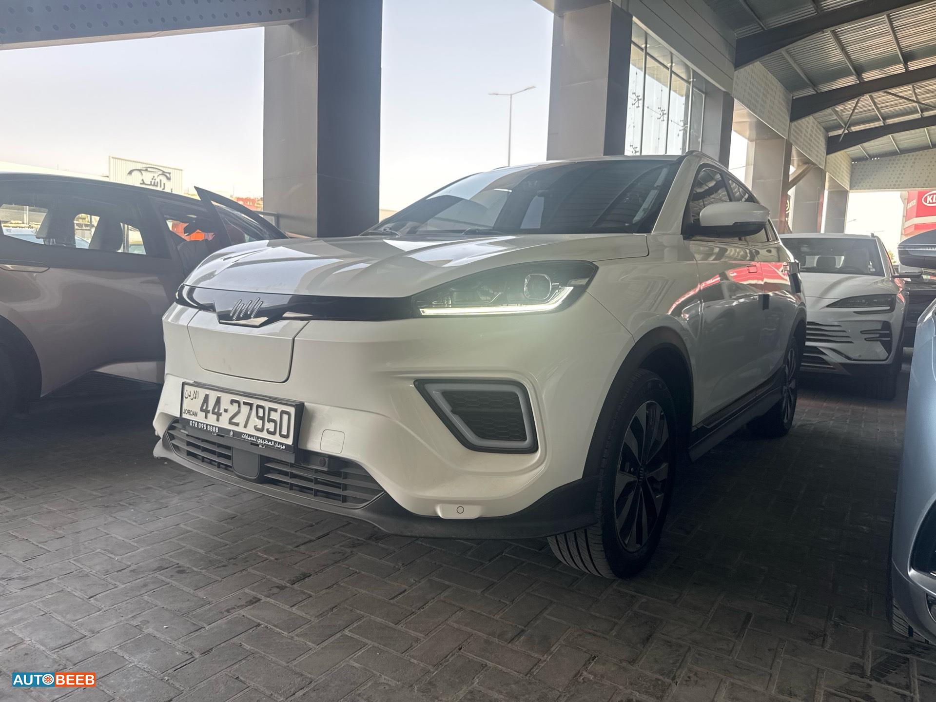 ويلتميستر EX5 2023