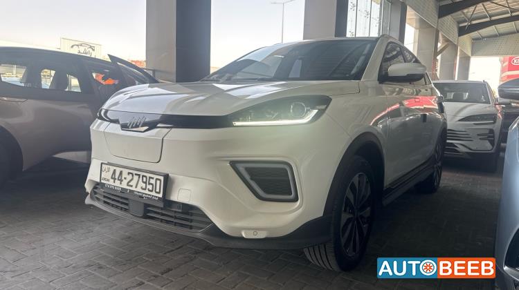 ويلتميستر EX5 2023