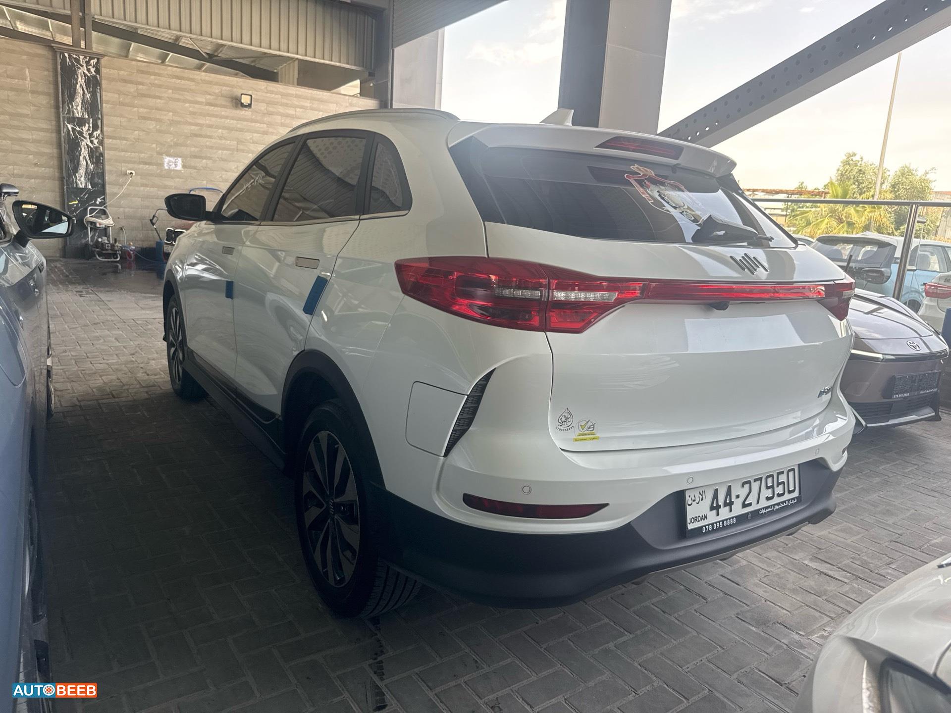 ويلتميستر EX5 2023