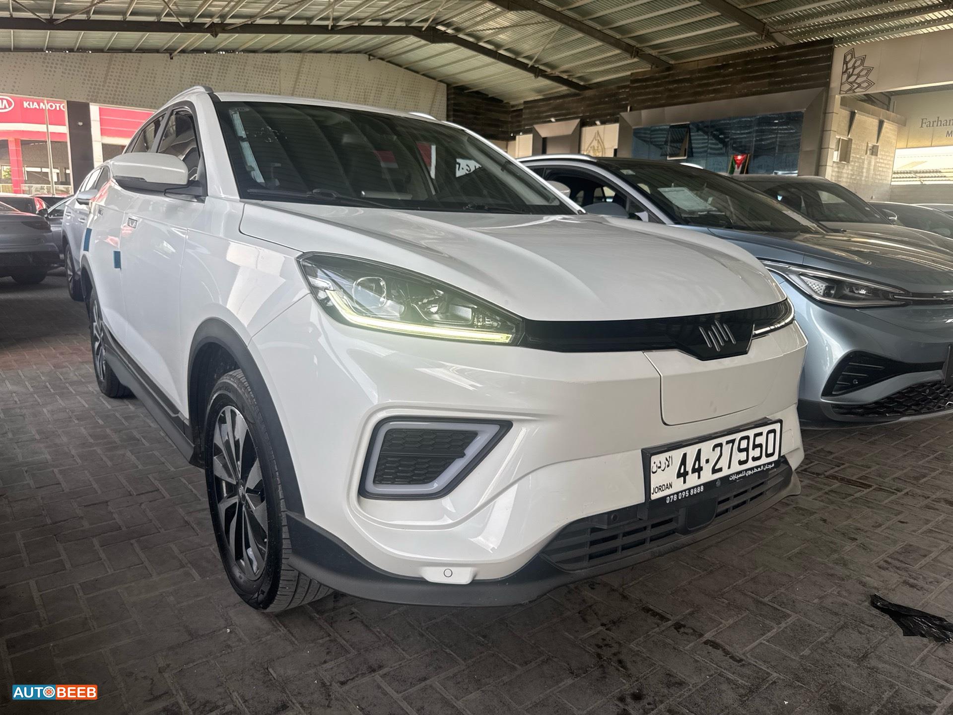 ويلتميستر EX5 2023