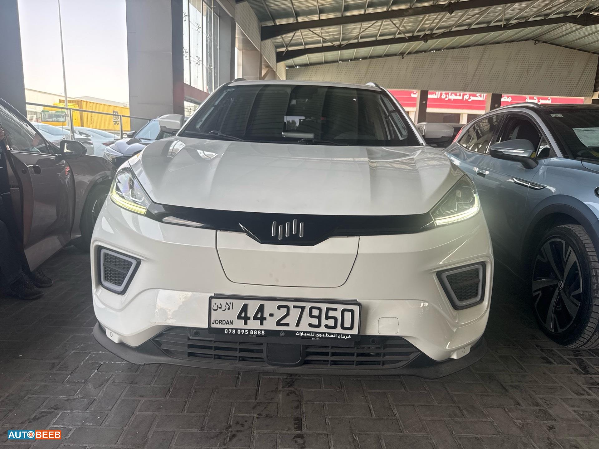 ويلتميستر EX5 2023