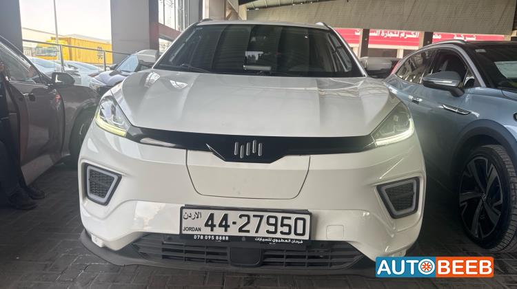 ويلتميستر EX5 2023