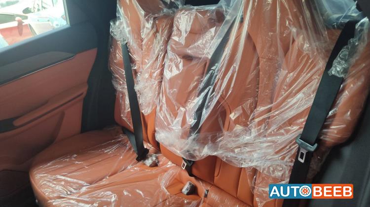 دونج فينج مايج 2026