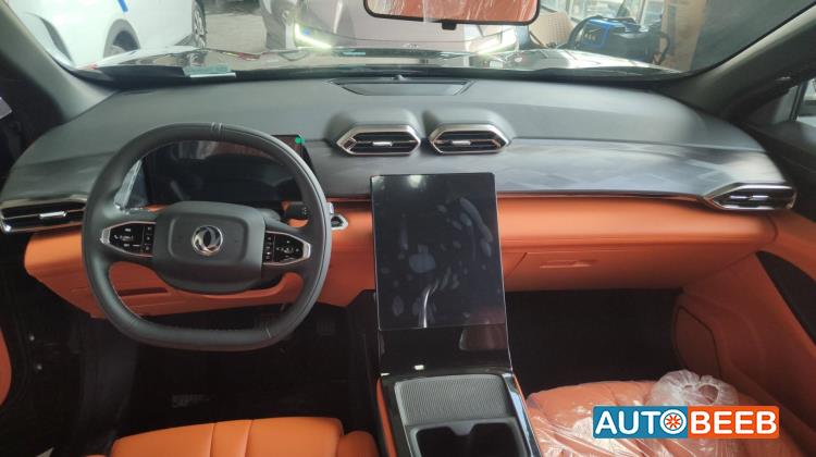 دونج فينج مايج 2026