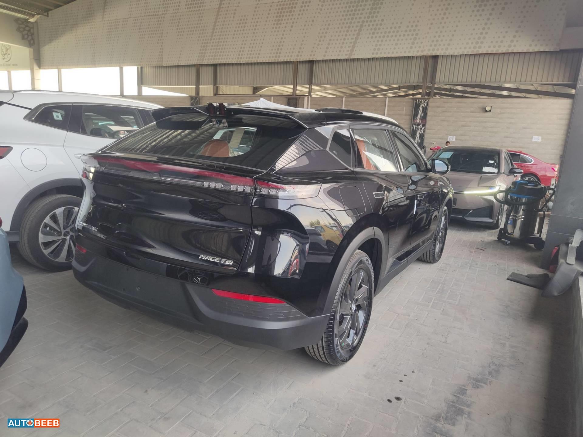 دونج فينج مايج 2026