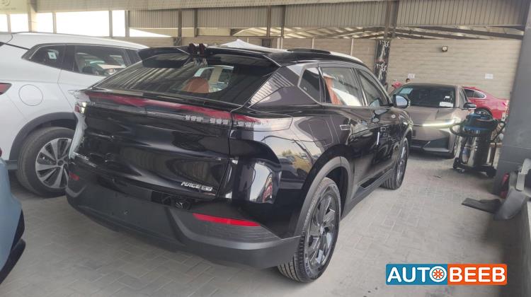 دونج فينج مايج 2026