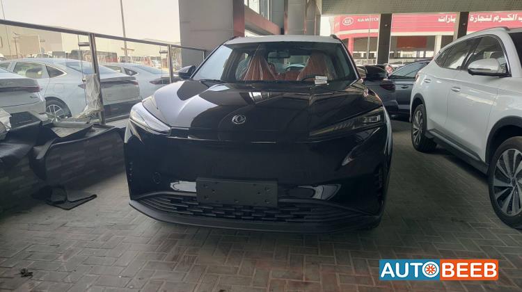 دونج فينج مايج 2026