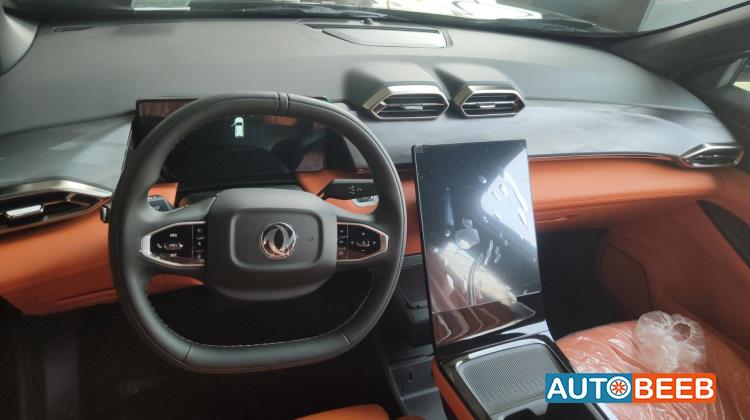 دونج فينج مايج 2026