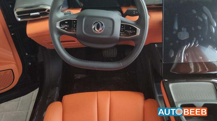 دونج فينج مايج 2026