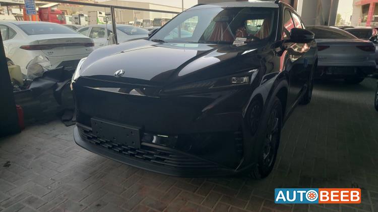 دونج فينج مايج 2026