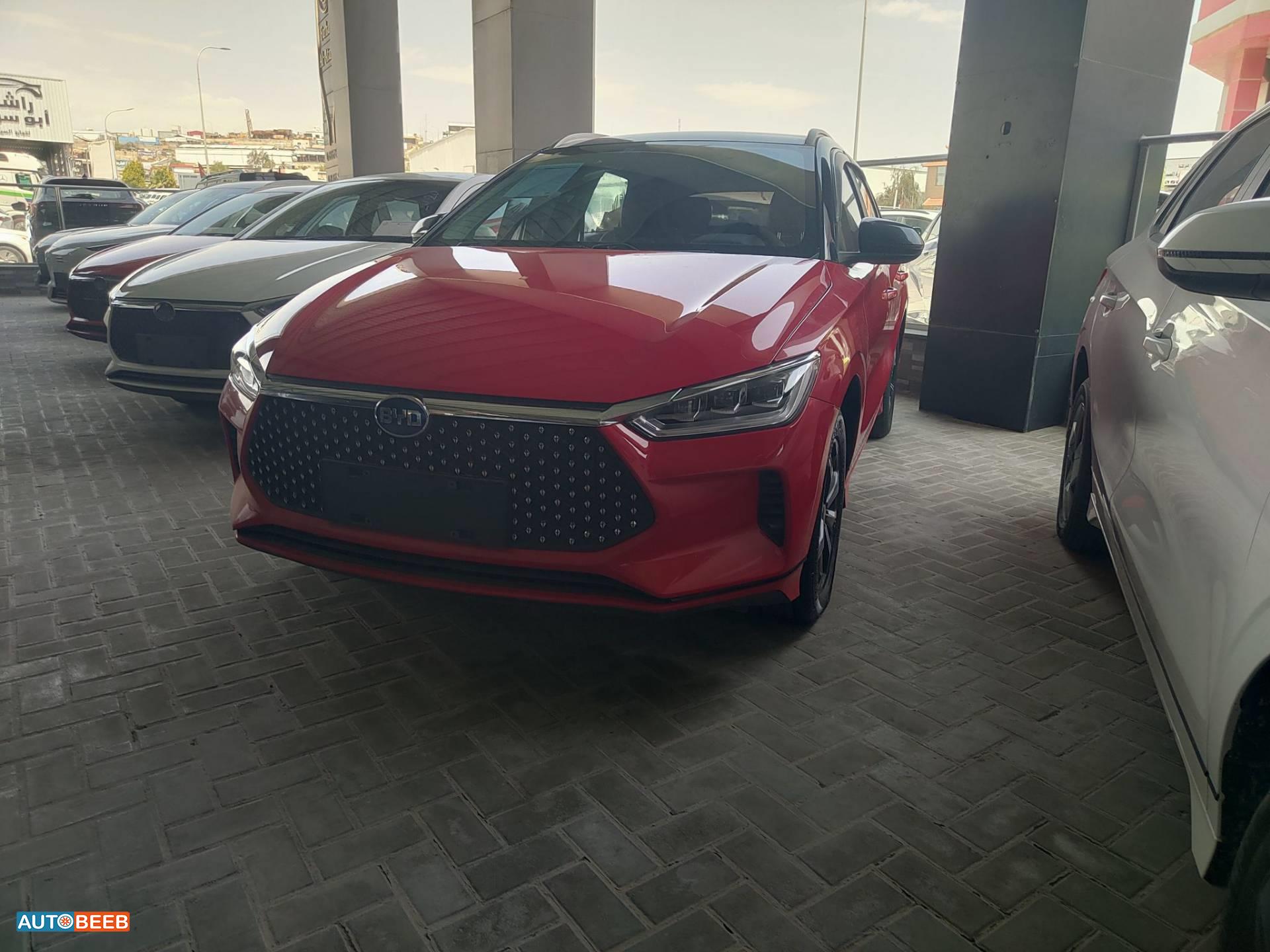 بي واي دي E2 2020