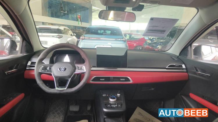 بي واي دي E2 2020