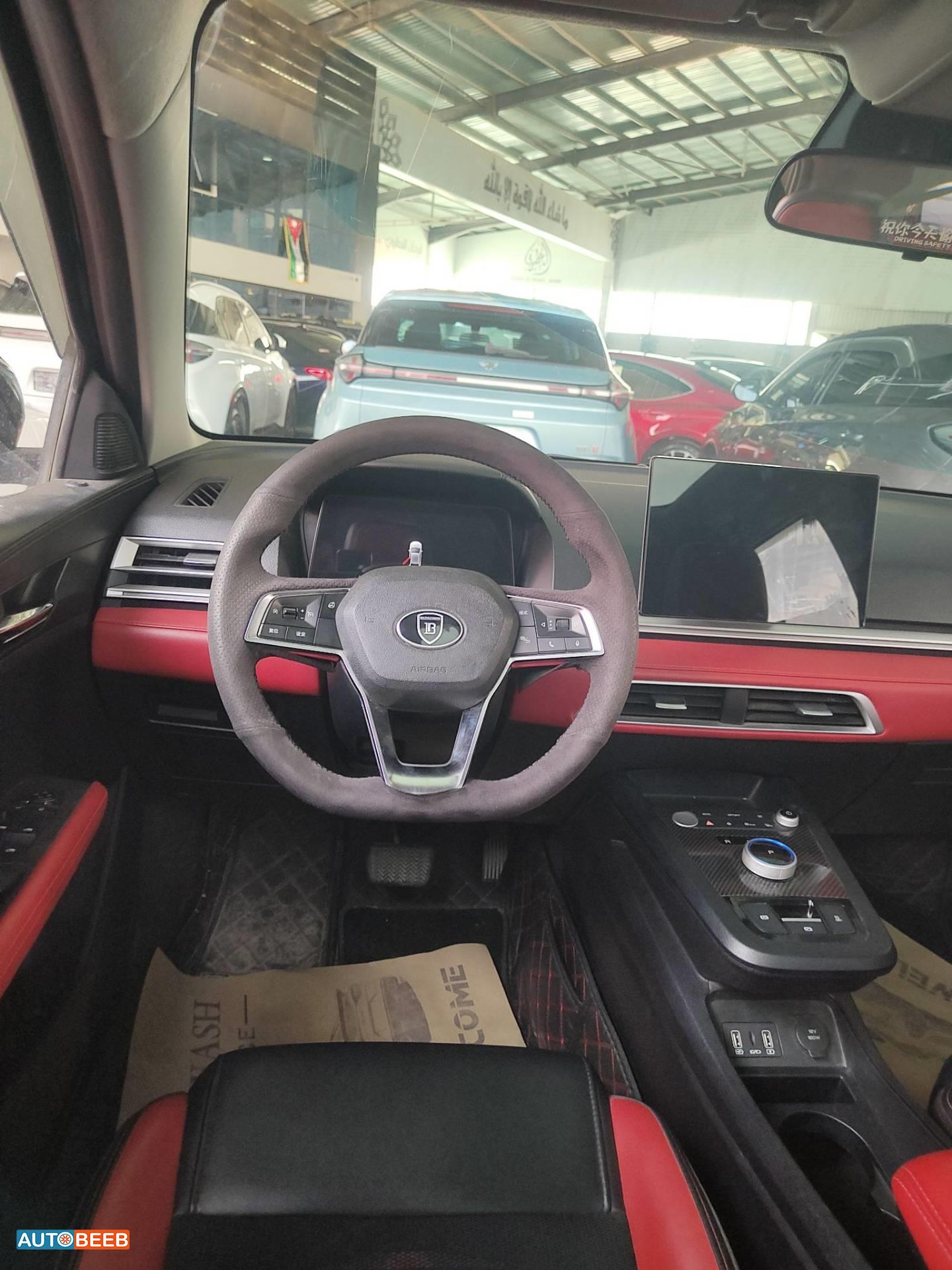 بي واي دي E2 2020