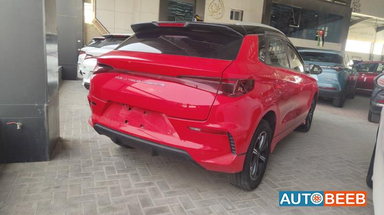 بي واي دي E2 2020