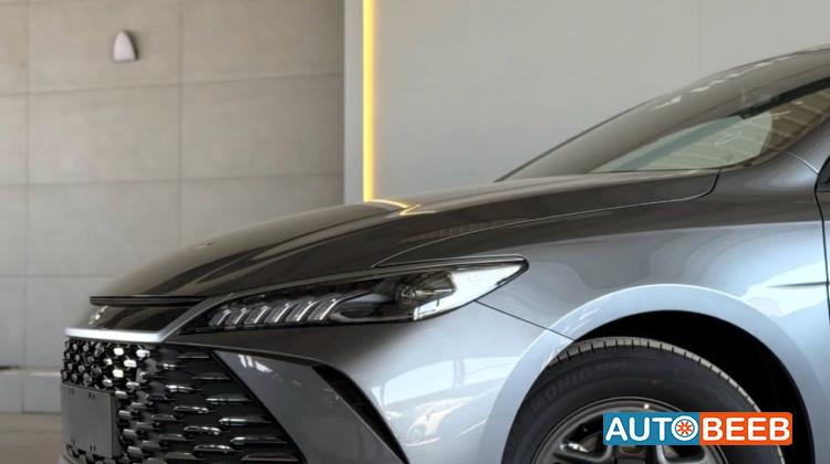 بي واي دي كين 2025