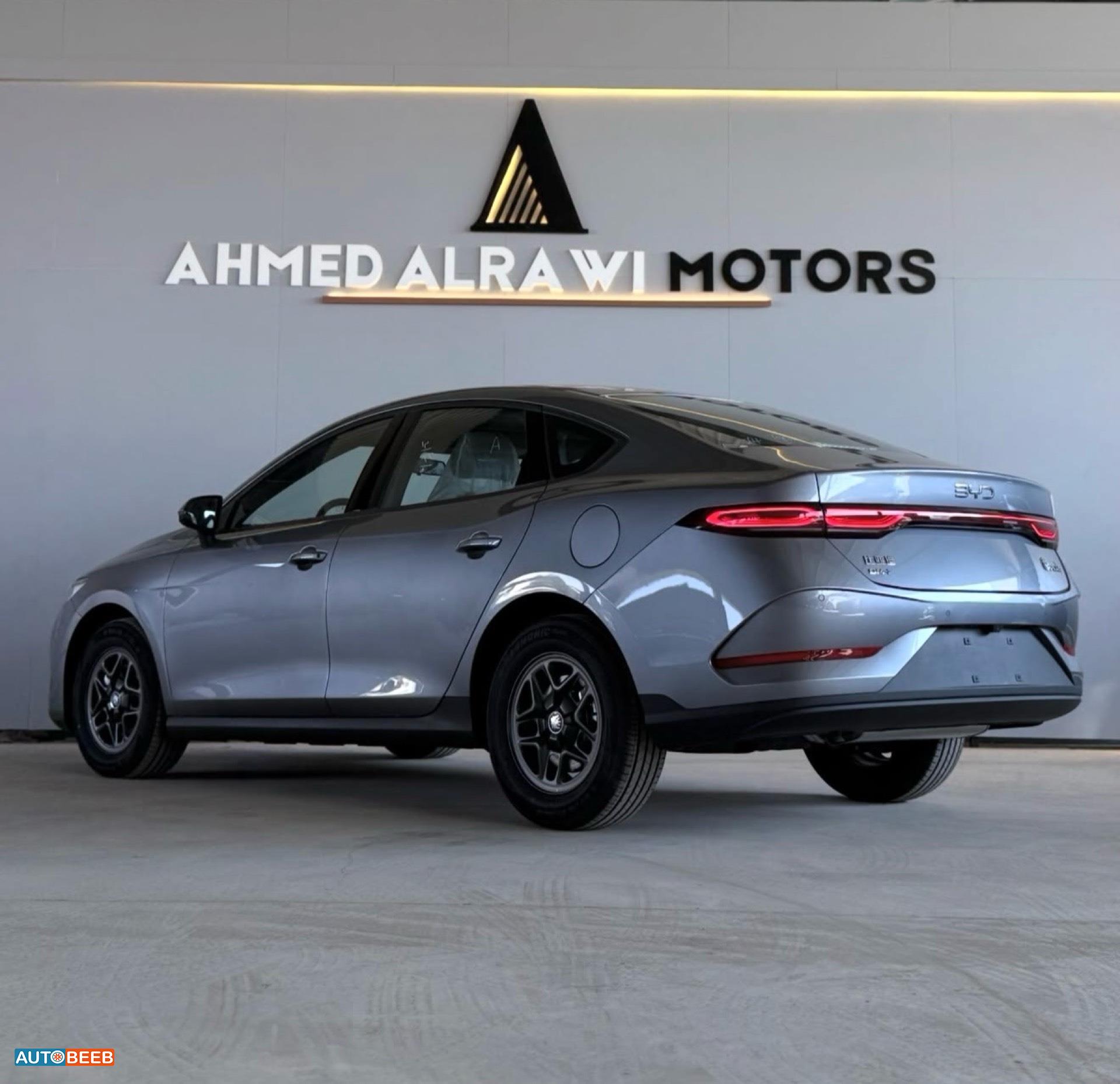 بي واي دي كين 2025