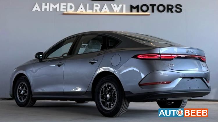 بي واي دي كين 2025