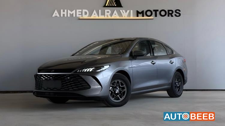 بي واي دي كين 2025