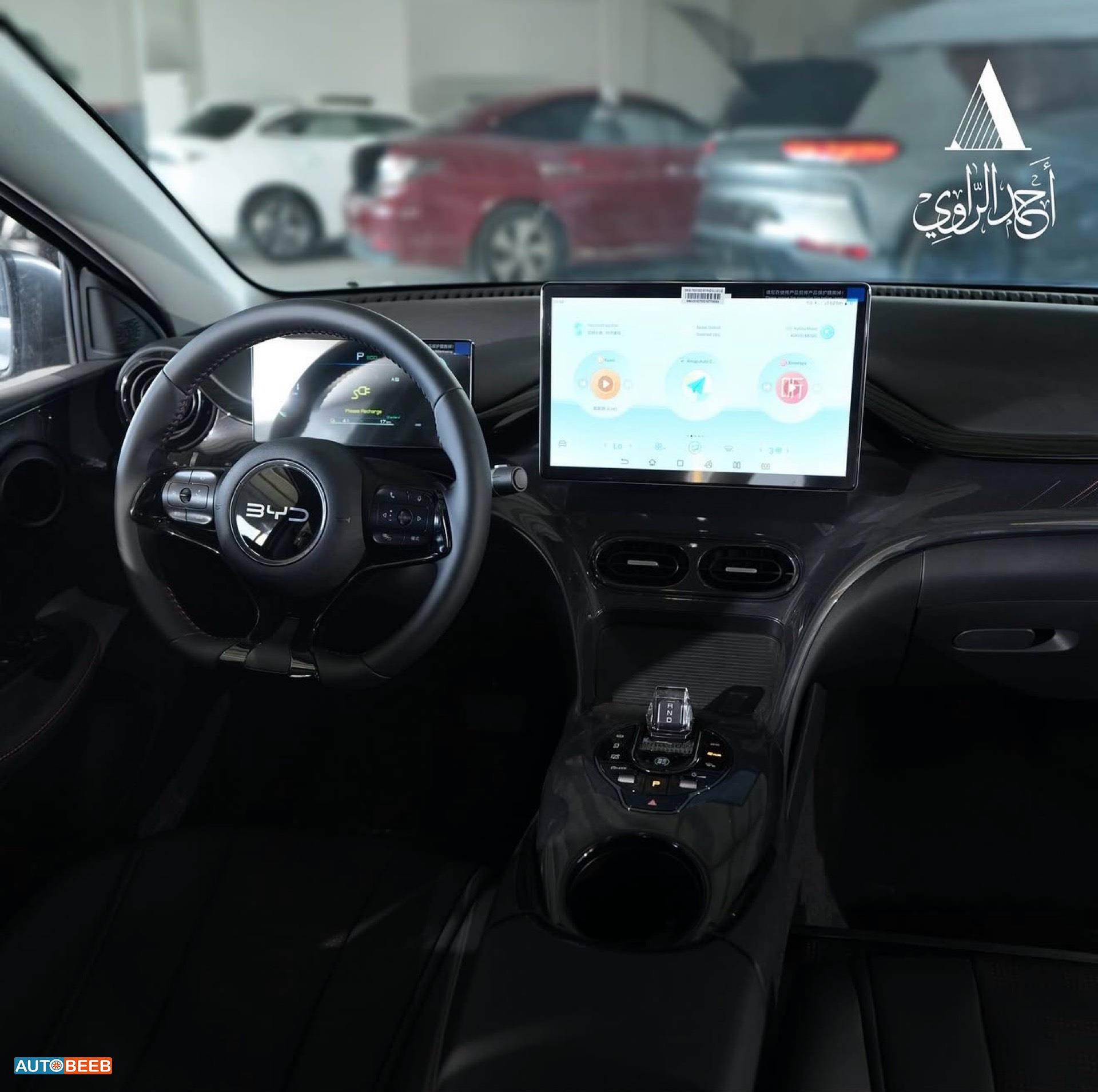 بي واي دي E2 2025