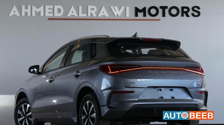 بي واي دي E2 2025