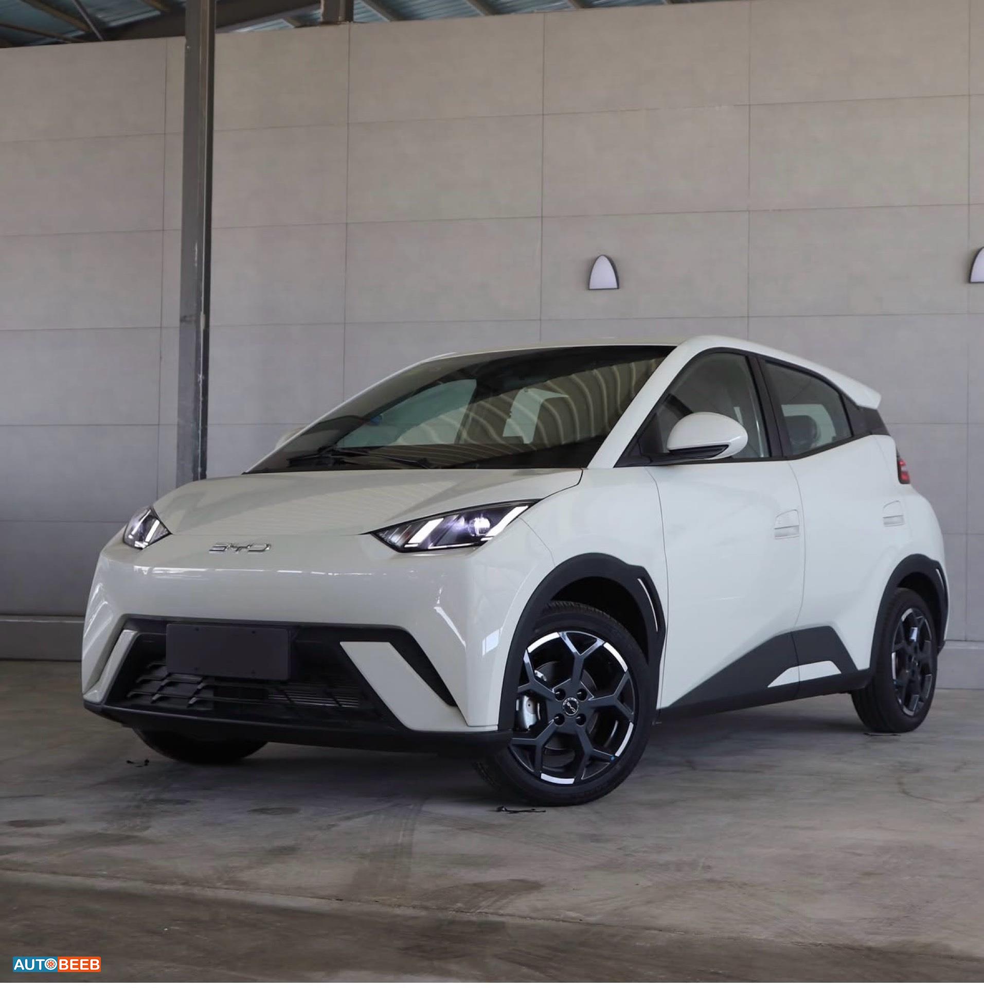 بي واي دي سيجول 2025