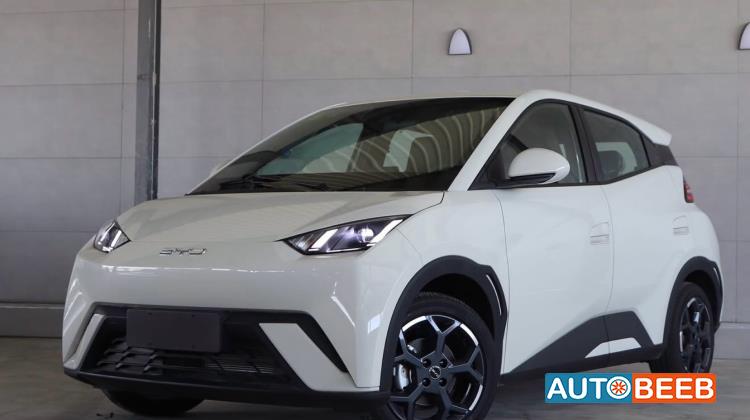 بي واي دي سيجول 2025