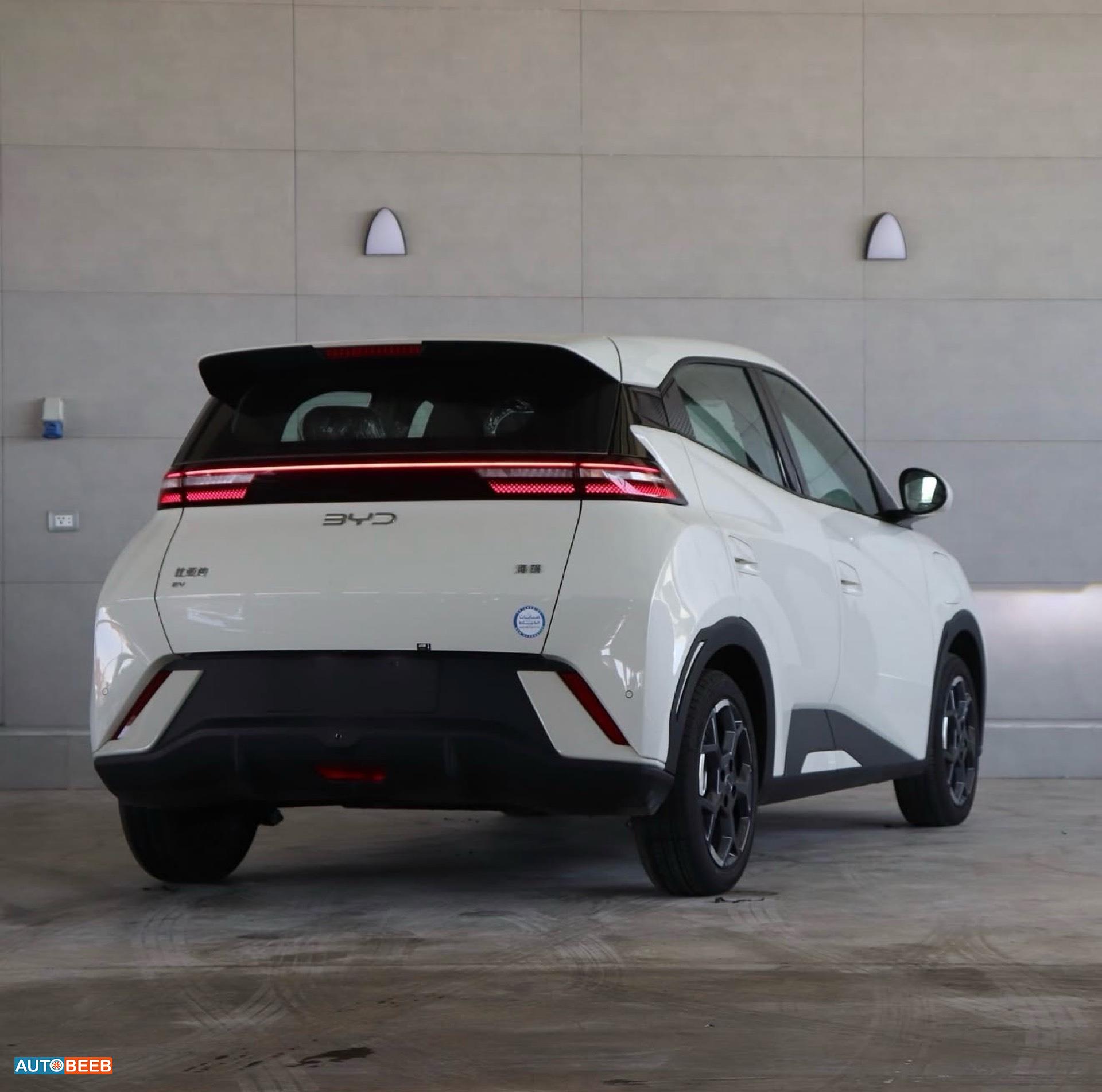 بي واي دي سيجول 2025