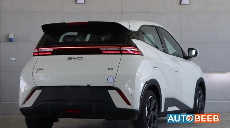 بي واي دي سيجول 2025