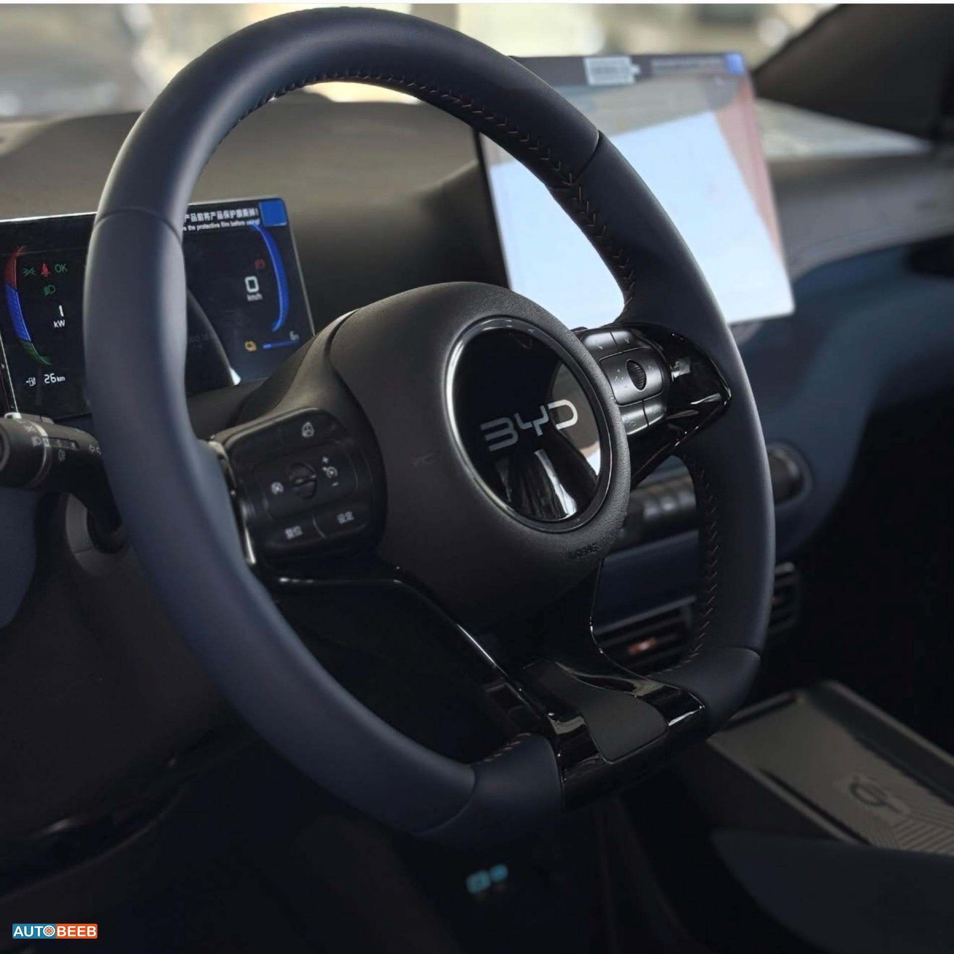 بي واي دي سيجول 2025