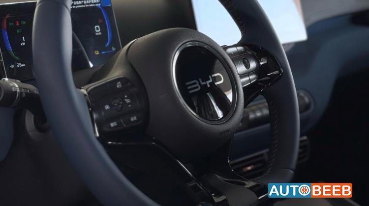 بي واي دي سيجول 2025