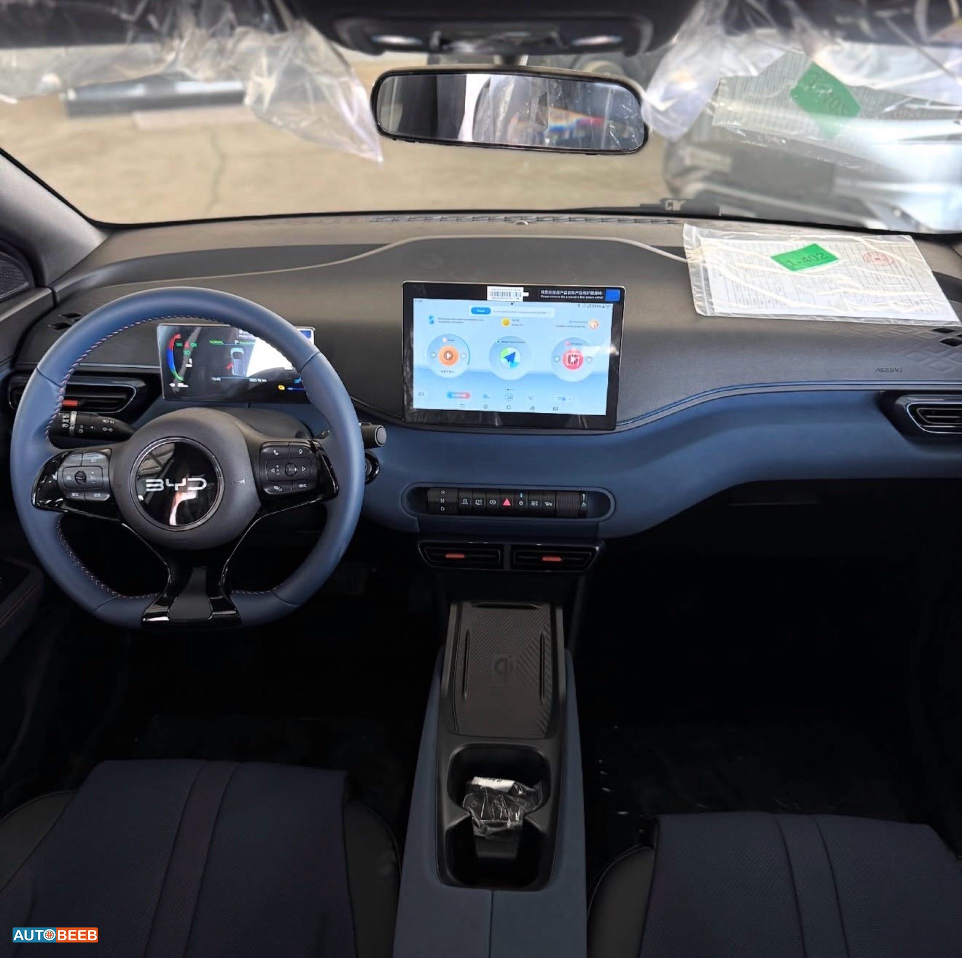 بي واي دي سيجول 2025